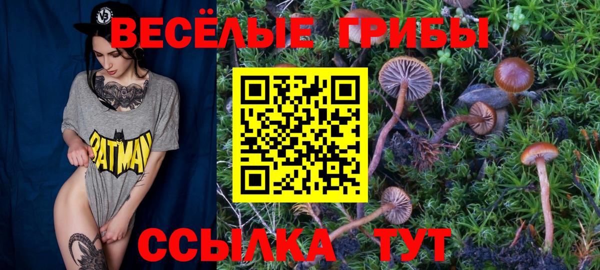 Кумертау  даркнет сайт  Вход с VPN  Псилоцибиновые грибы ЛСД 