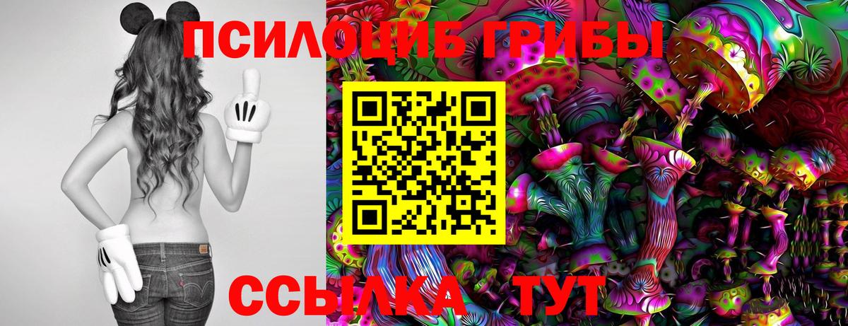Псилоцибиновые грибы мицелий Кумертау